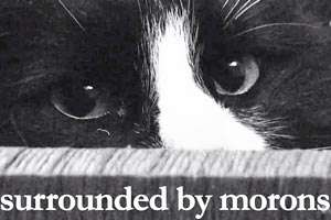Titelbild