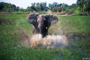 Tiere hautnah erleben