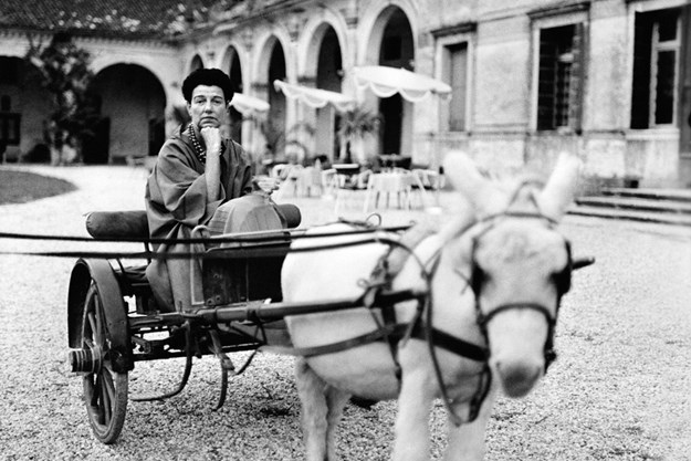 http://images.derstandard.at/t/M625/movies/2014/23008/170315223037674_15_peggy-guggenheim-ein-leben-fuer-die-kunst_aufm02.jpg http://images.derstandard.at/t/M625/movies/2014/23008/170315223037674_15_peggy-guggenheim-ein-leben-fuer-die-kunst_aufm02.jpg