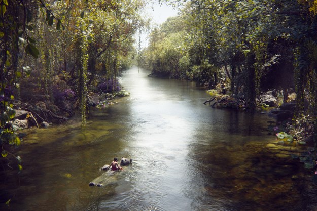 http://images.derstandard.at/t/M625/movies/2015/20478/160505223057750_7_the-jungle-book_aufm02.jpg http://images.derstandard.at/t/M625/movies/2015/20478/160505223057750_7_the-jungle-book_aufm02.jpg