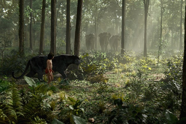 http://images.derstandard.at/t/M625/movies/2015/20478/160505223058206_8_the-jungle-book_aufm04.jpg http://images.derstandard.at/t/M625/movies/2015/20478/160505223058206_8_the-jungle-book_aufm04.jpg