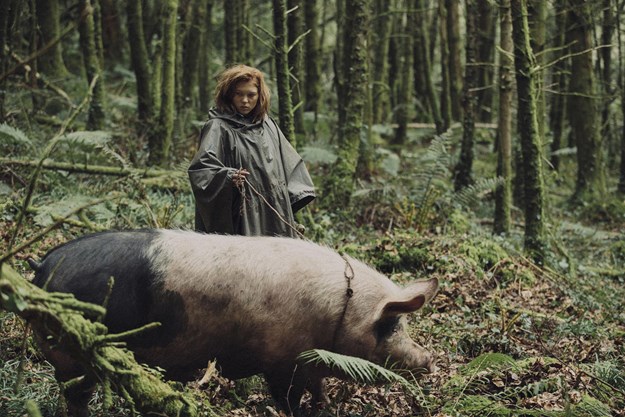 http://images.derstandard.at/t/M625/movies/2015/21645/170320223107156_16_the-lobster_aufm03.jpg http://images.derstandard.at/t/M625/movies/2015/21645/170320223107156_16_the-lobster_aufm03.jpg