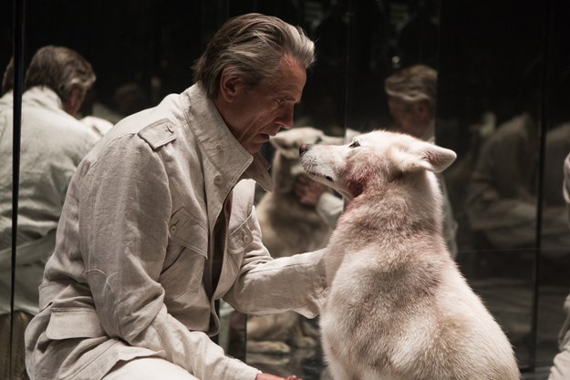 http://images.derstandard.at/t/M625/movies/2015/23068/170320223119033_7_high-rise_aufm03.jpg http://images.derstandard.at/t/M625/movies/2015/23068/170320223119033_7_high-rise_aufm03.jpg