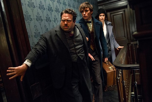 http://images.derstandard.at/t/M625/movies/2016/19890/170309223058391_8_phantastische-tierwesen-und-wo-sie-zu-finden-sind_aufm02.jpg http://images.derstandard.at/t/M625/movies/2016/19890/170309223058391_8_phantastische-tierwesen-und-wo-sie-zu-finden-sind_aufm02.jpg