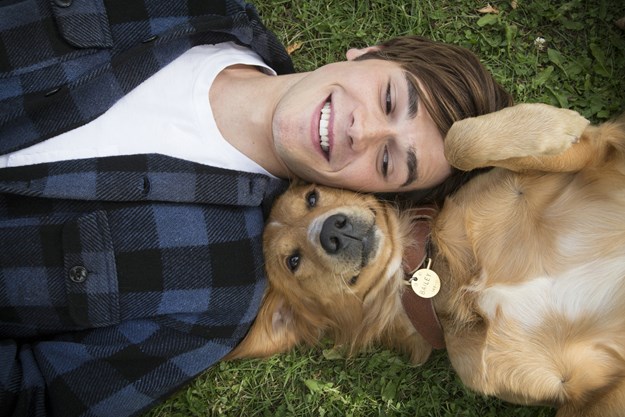 http://images.derstandard.at/t/M625/movies/2017/24655/170307223107974_12_bailey-ein-freund-fuers-leben_aufm03.jpg http://images.derstandard.at/t/M625/movies/2017/24655/170307223107974_12_bailey-ein-freund-fuers-leben_aufm03.jpg