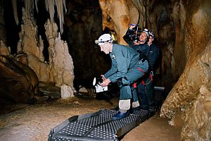 Spurensuche, Foto: APA (pr/Filmladen) Artikelbild