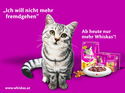 Sie muss fremdgehen 