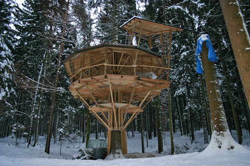 Streit um Baumhaus im Innviertel Österreich