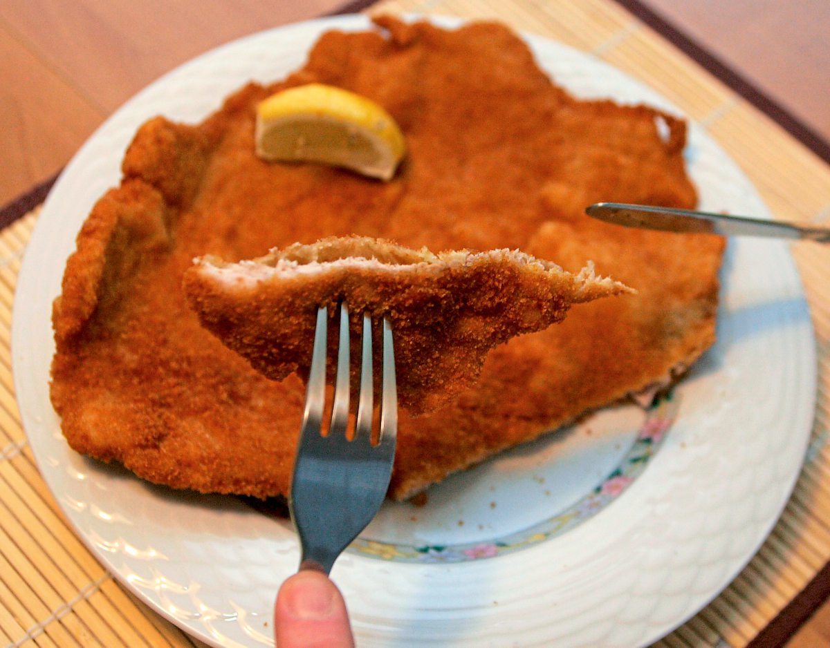 Lust auf Fleisch? Ein Blick auf Gegenwart und Zukunft des Fleischkonsums