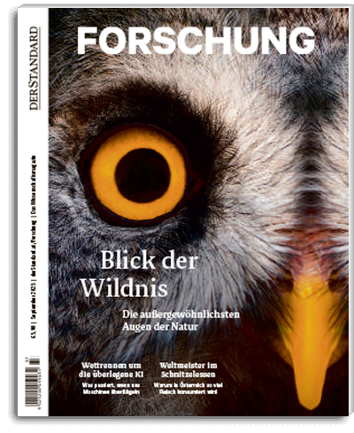 DER STANDARD Forschung Nr.12