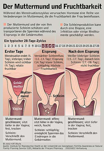 Zyklusplaner oft nicht zuverlässig - Forschung & Geschlecht - dieStandard.at › Forschung ...