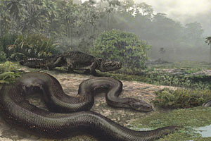 Die größte Schlange der Welt - Natur - derStandard.at › Wissenschaft