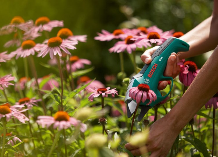 Gewinnspiel: Akku-Gartenscheren - Garten - derStandard.at ...