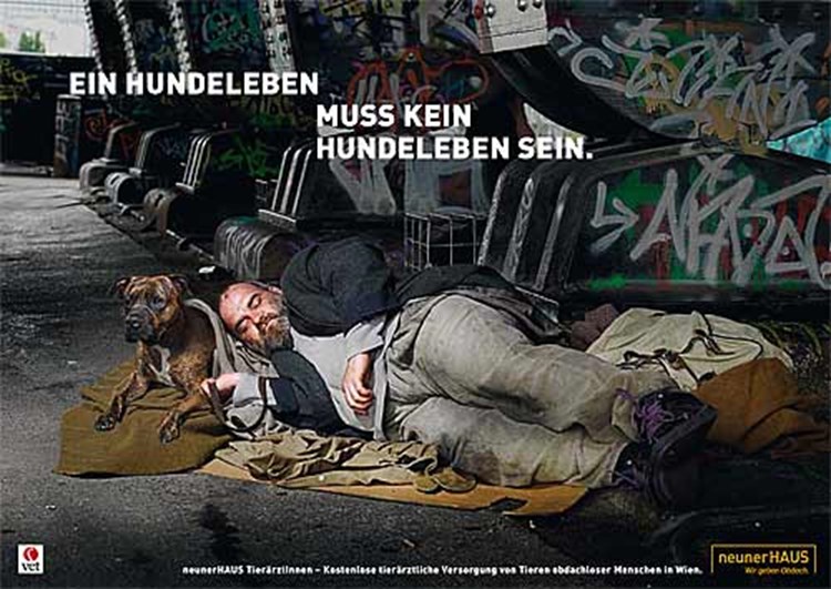 Obdachlose Ein Hundeleben Muss Nicht Sein 3 Landstrasse Derstandard At Panorama