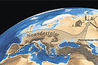 Das Rätsel um die letzten Neandertaler - Zeit - derStandard.at