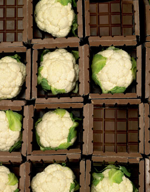 Kiwi mit Austern, Wein mit Kakao Essen &amp; Trinken derStandard.at