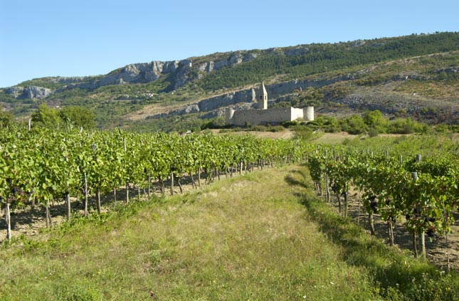 Randeinwarts Wandern Im Karst Europa Reisen Derstandard At Lifestyle