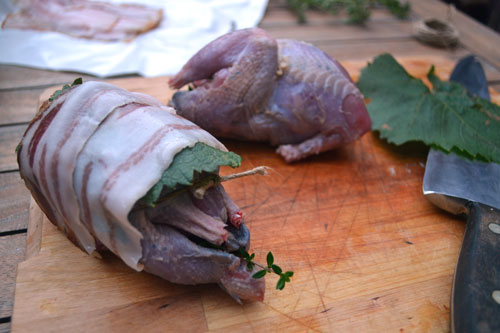 Würzen mit Vögeln - Gruß aus der Küche - derStandard.at › Lifestyle