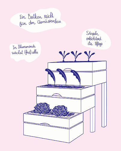 Selbst angebaut: Gärtnern in der Obstkiste - Garten - derStandard.at