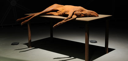 Berlinde De Bruyckere Schmerz des Fleisches und Anmut des Todes