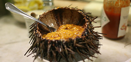 Frühstück mit Seeigel - Gruß aus der Küche - derStandard.at › Lifestyle