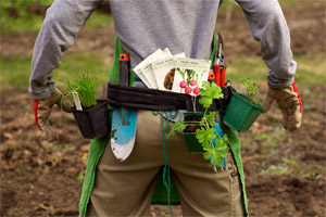 Der Garten ruft! [Seite 1] - Lifestyle - derStandard.at › Lifestyle