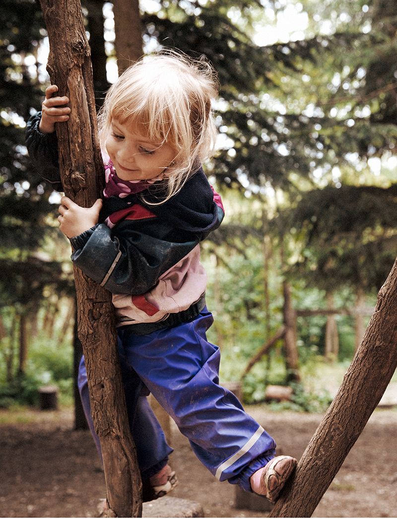 Get Zitat waldkindergarten Free