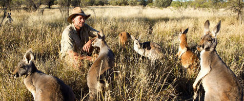 Tv Programm Dienstag