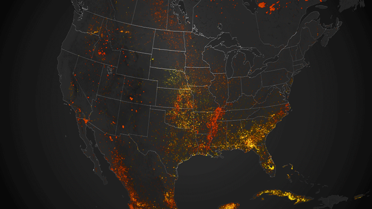 Schwere Waldbrande In Den Usa Marginal Verglichen Mit Afrika Naturkatastrophen Derstandard At Panorama
