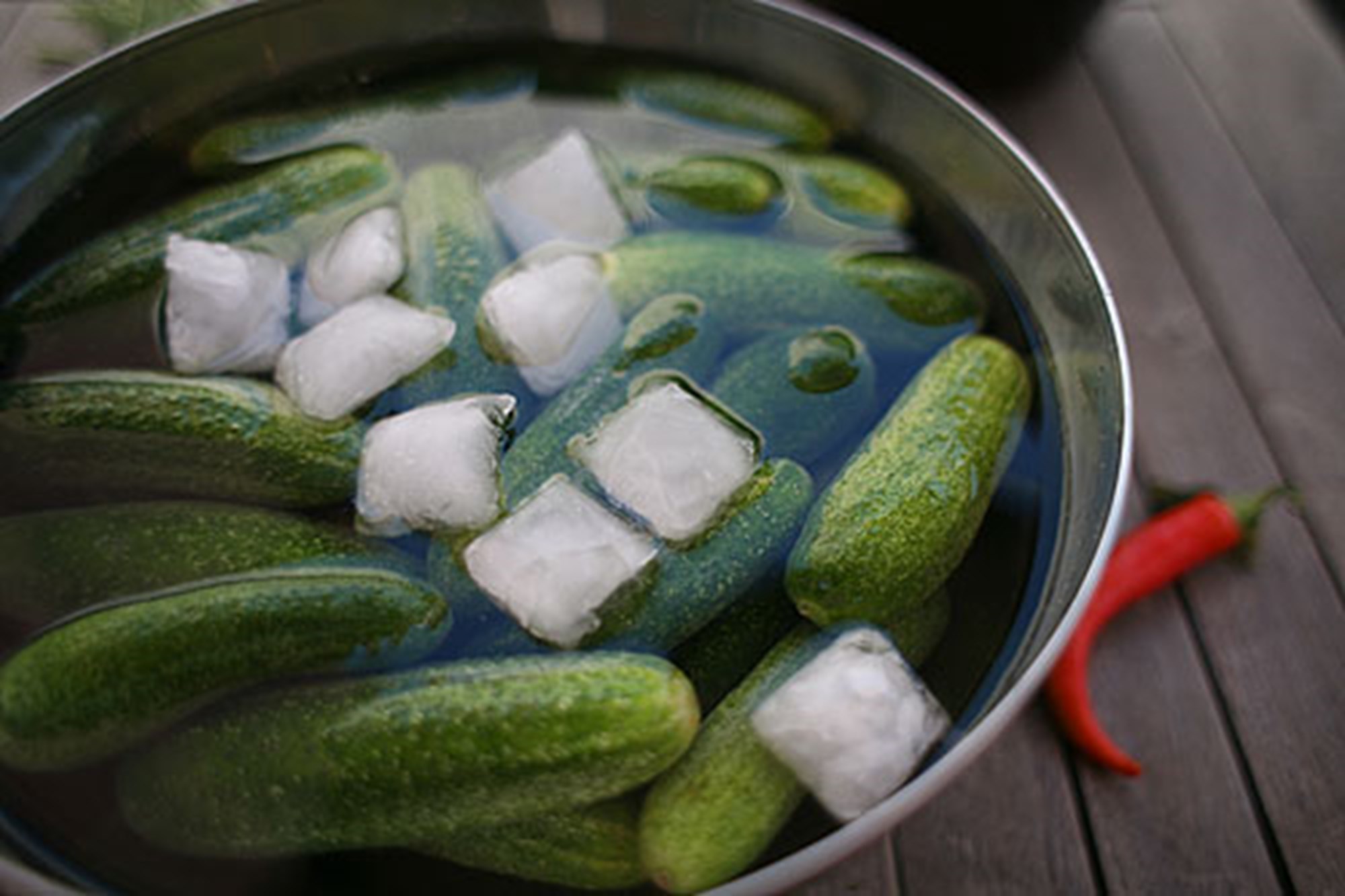 Fermentieren, die Erste Gurken gären Gruß aus der Küche