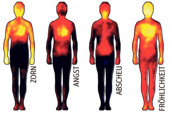Wo Im Korper Die Gefuhle Sitzen Mensch Derstandard At Wissenschaft