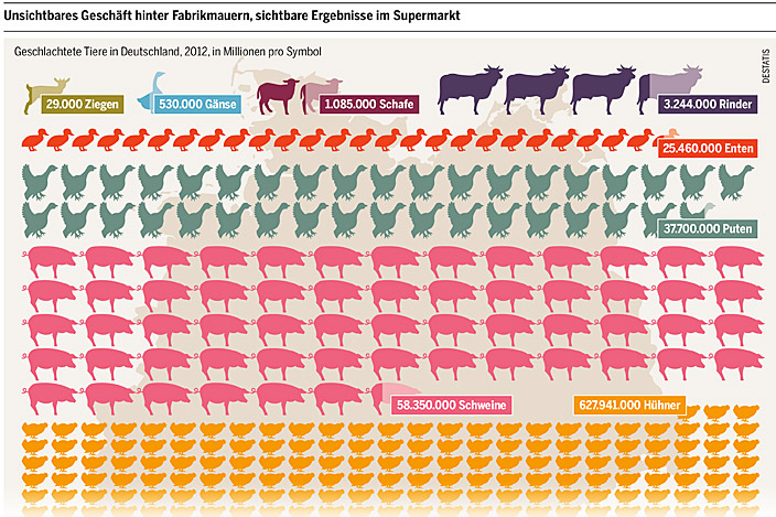 DumpingSchlachten und Hormone auf dem Teller Neue FleischkonsumPrognose Tiere derStandard