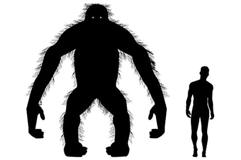 Gigantopithecus Blacki Warum King Kong Ausstarb Natur Derstandard At Wissenschaft