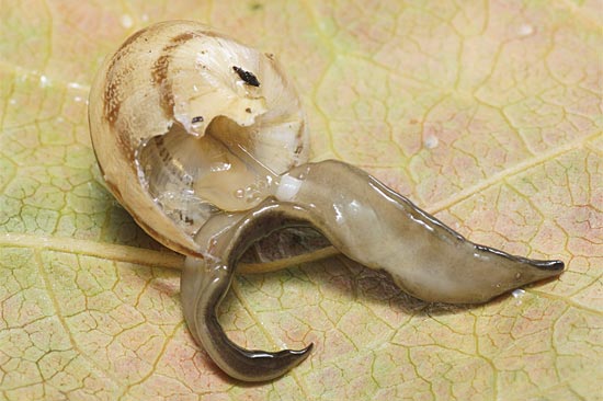 Volume Injection Live Loud Kataklysm 24 10 2018