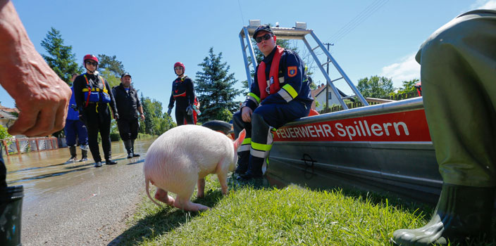 Wie Füllt Man Ein Stabfeuerzeug Auf