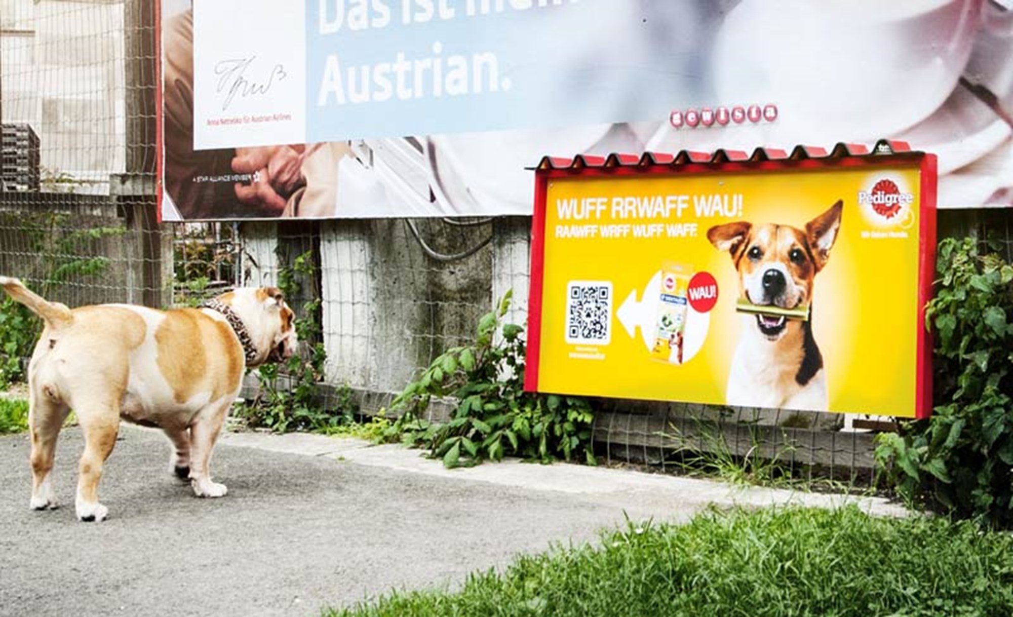 Werbung riecht Plakate kommen auf den Hund Werbung derStandard.at