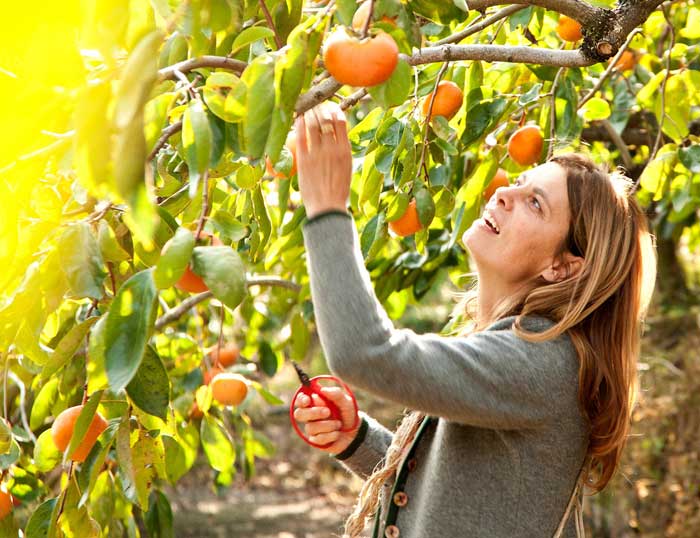 Sarah Wiener "Hier essen wir nun einmal nicht Hund" TV derStandard