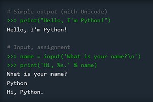 USUnis Python ist beliebteste EinstiegsProgrammiersprache