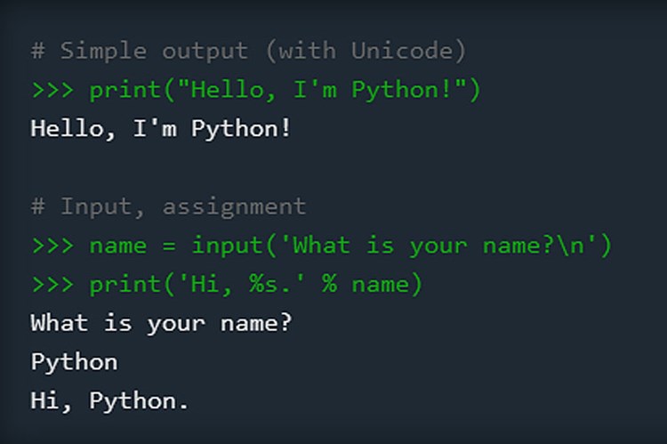 USUnis Python ist beliebteste EinstiegsProgrammiersprache