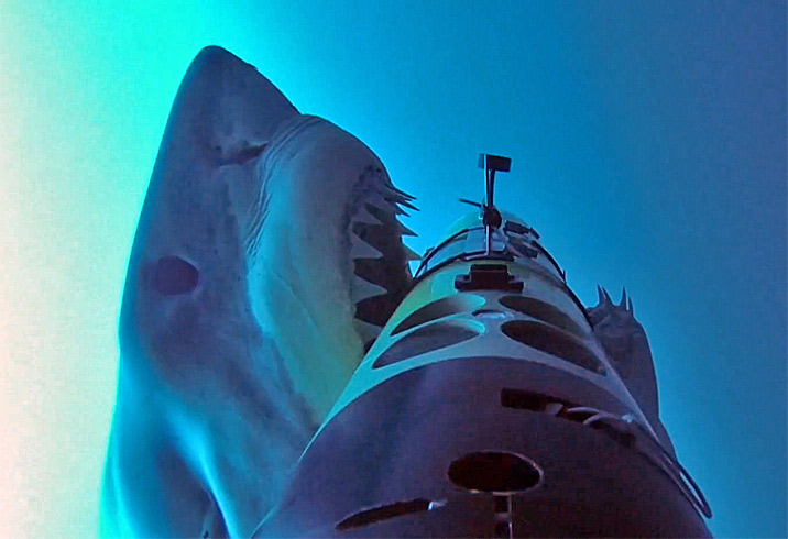 Weisse Haie Schnappen Sich Einen Lastigen Tauchroboter Klicktipp Derstandard At Wissenschaft