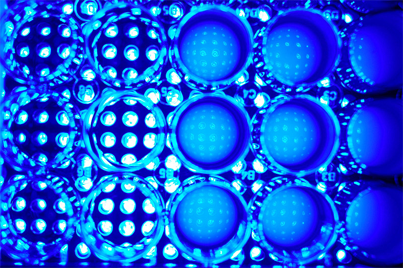 Mit Blaulicht Gegen Resistente Bakterien Forschung Spezial Derstandard At Wissenschaft