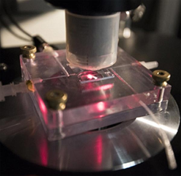 Get Ich kann nanses menschen sehen For Free Ich Kann Nanses Menschen Sehen