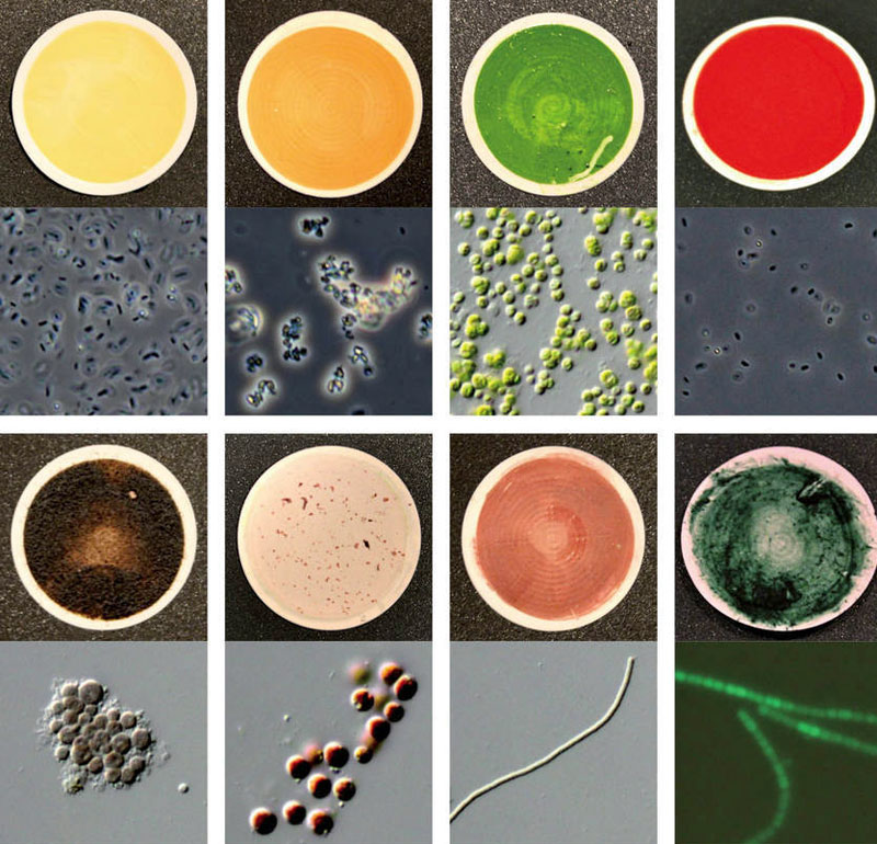 Ein Farbkatalog zur Suche nach außerirdischem Leben - Raum