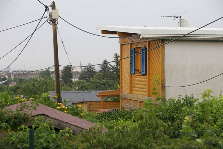 Hauserschlacht Im Kleingartenidyll Bauen Wohnen Derstandard