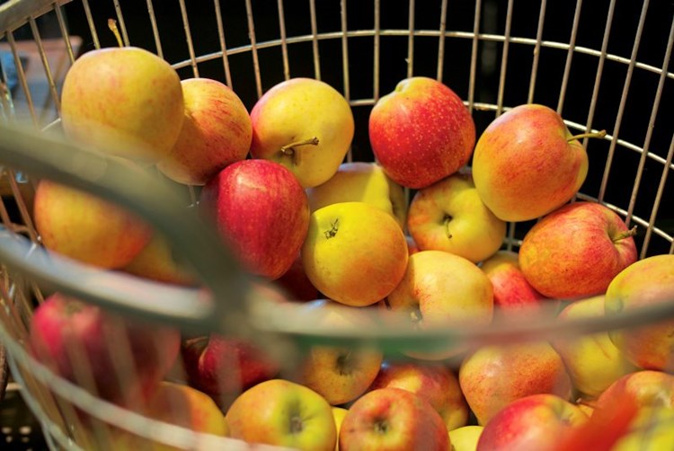 Russland Embargo Eu Hilfe Fur Obstbauern Verlangert Umwelt Landwirtschaft Klima Derstandard At Wirtschaft