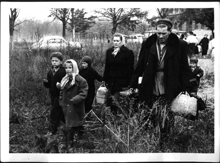 Ungarn 1956 Von Armen Fluchtlingen Zu Parasiten Des Wohlstands Gesellschaft Derstandard At Panorama