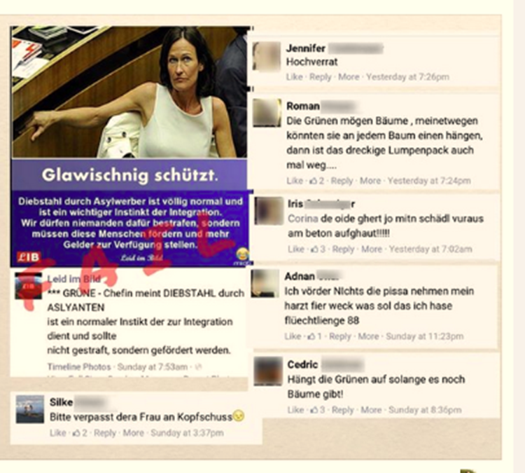 Grune Zeigen Hassposter An Schadenersatz Geht An Fluchtlinge Debatten Im Netz Derstandard At Web