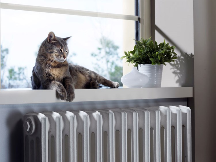 Wohnzimmer Ideen Naturstein Wohnzimmer Traumhaus