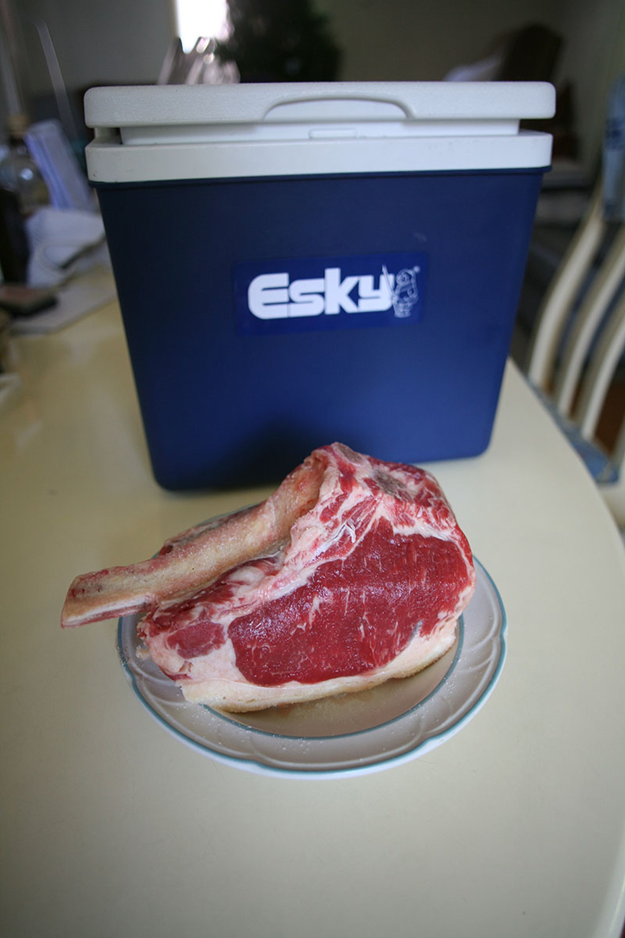 Steak, die achte: Das Kühlbox-Steak - Gruß aus der Küche - derStandard