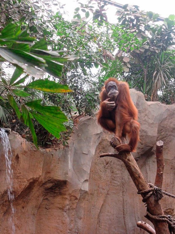 7b2d9e36c5 D57e 4359 Ea9c C90916aa2458 7d By Aimcom Brands